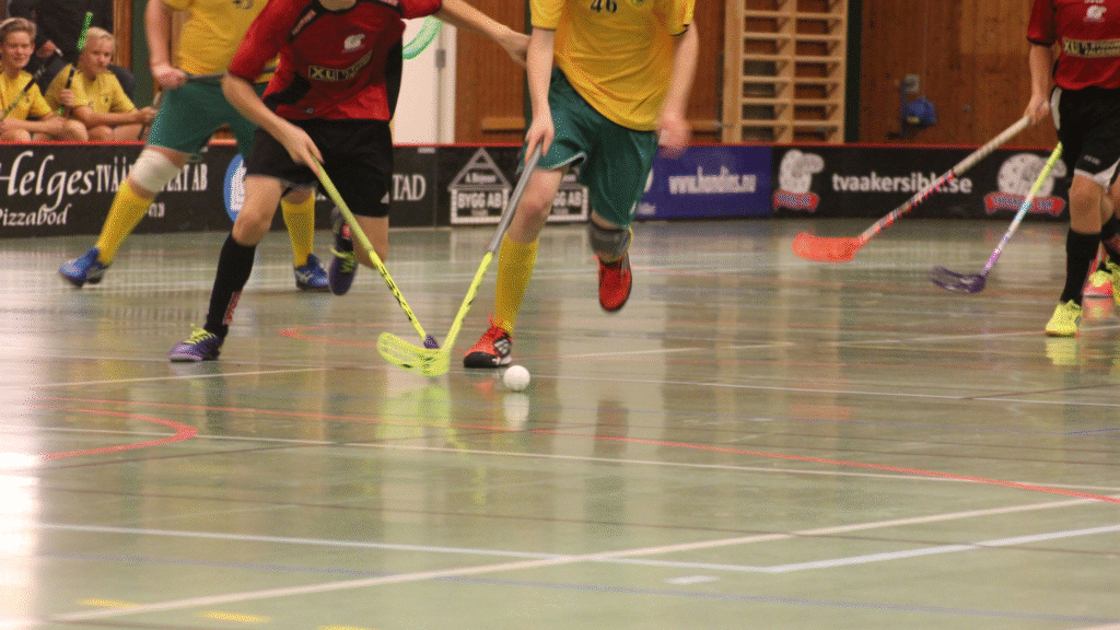 Know the game: what smart fans need to know about floorball