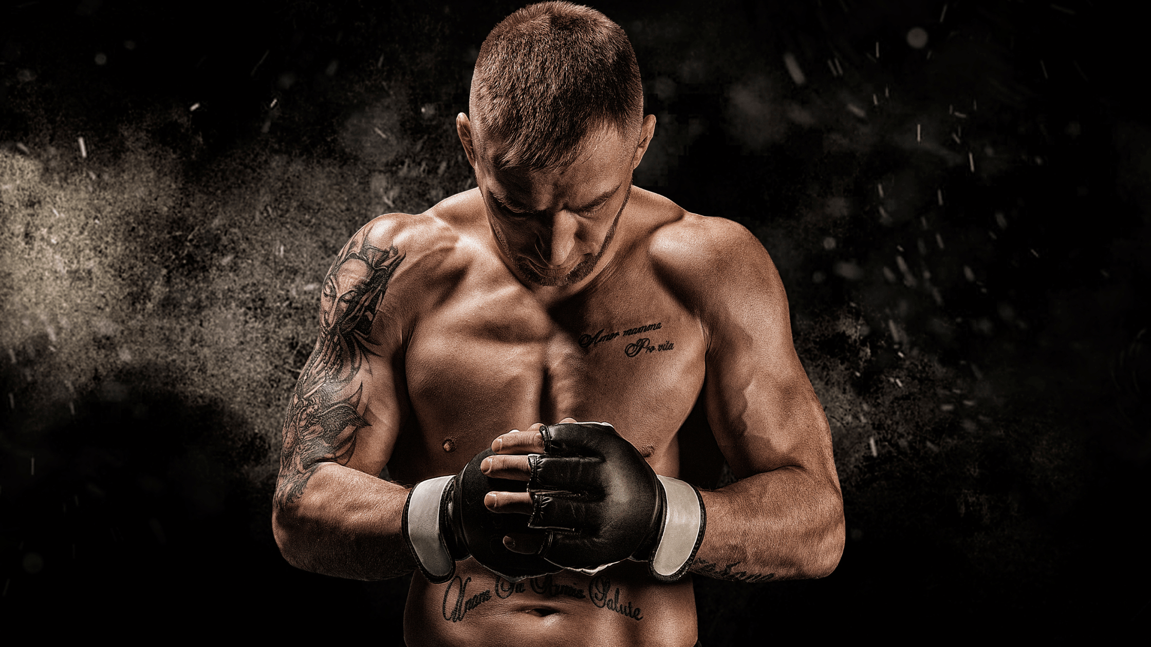Know the game: what smart fans need to know about mixed martial arts
