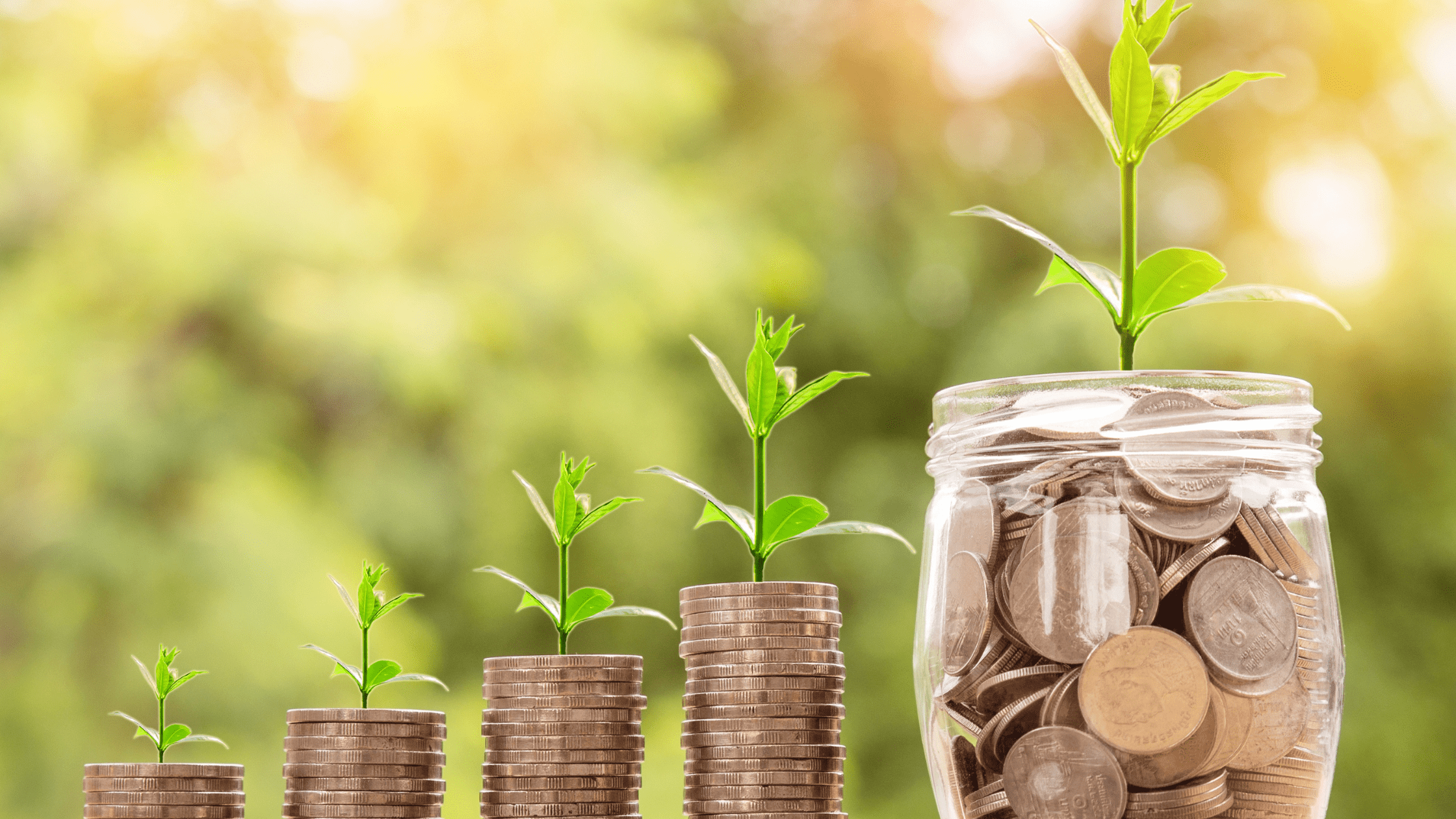 coins in jars with plants growing out of them