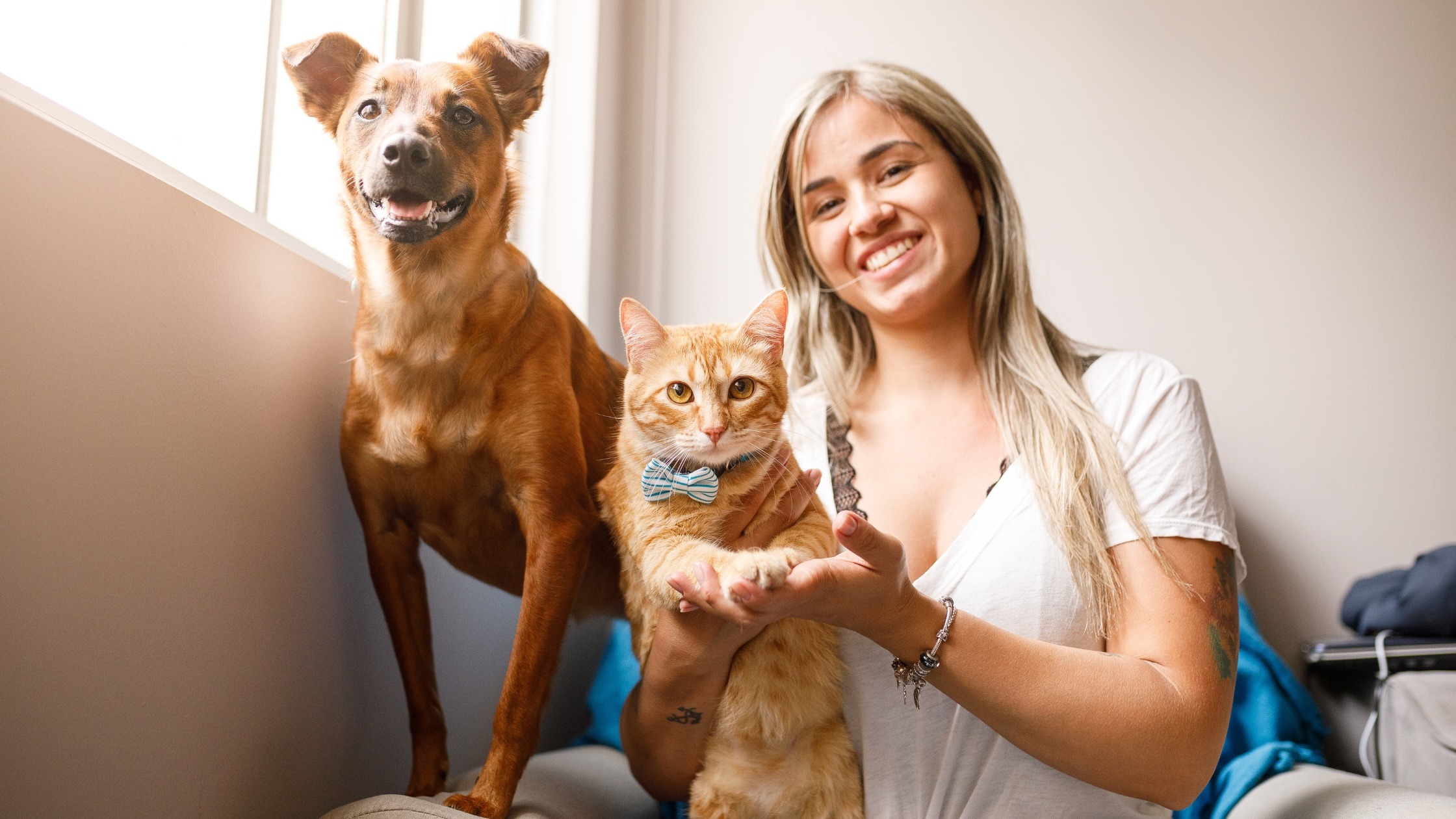 Estonian pet insurance comparisons - your options explained